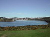 DSCN9616.JPG