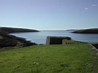 DSCN9650.JPG