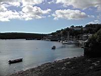 DSCN9661.JPG