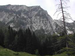DSCN7422.JPG
