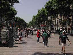 DSCN6816.JPG