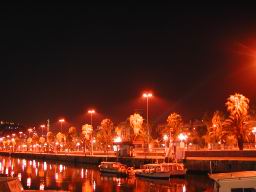DSCN7033.JPG