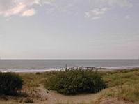 DSCN9310.JPG