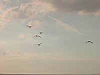 DSCN9311.JPG