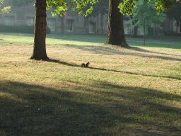 DSCN3455.JPG