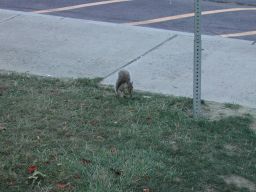 DSCN3464.JPG
