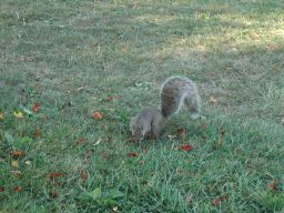 DSCN3466.JPG