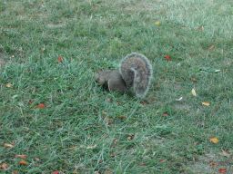 DSCN3467.JPG
