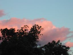 DSCN3532.JPG