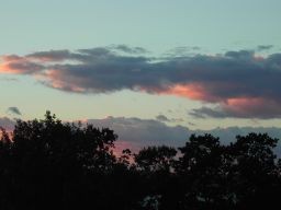 DSCN3534.JPG