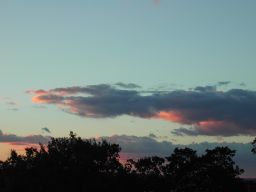 DSCN3536.JPG
