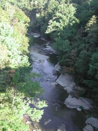 DSCN3324.JPG