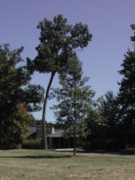 DSCN3337.JPG