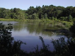 DSCN3352.JPG