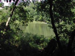 DSCN3353.JPG