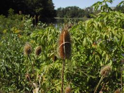 DSCN3356.JPG