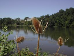DSCN3357.JPG