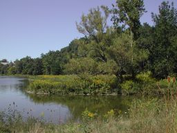 DSCN3358.JPG