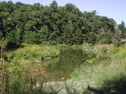 DSCN3360.JPG