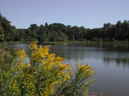DSCN3367.JPG