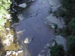DSCN3413.JPG