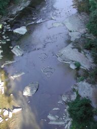 DSCN3414.JPG