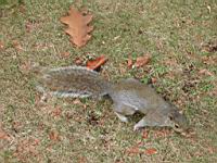 DSCN9523.JPG