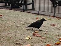 DSCN9525.JPG