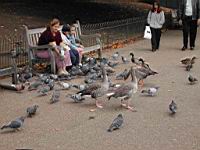 DSCN9531.JPG
