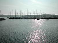 DSCN9696.JPG