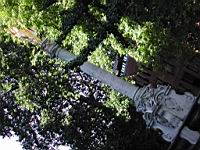DSCN9853.JPG