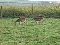 DSCN9744.JPG
