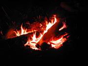 DSCN8983.JPG