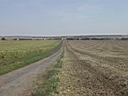 DSCN9003.JPG