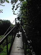 DSCN9007.JPG