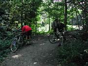 DSCN9008.JPG