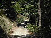 DSCN9010.JPG