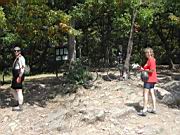 DSCN9031.JPG
