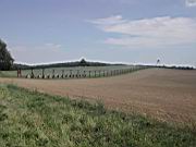 DSCN9033.JPG