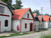 DSCN9051.JPG