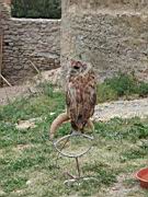 DSCN9077.JPG
