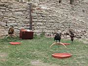 DSCN9079.JPG