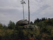 DSCN9115.JPG