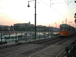 DSCN7175.JPG