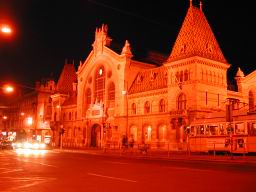 DSCN7215.JPG