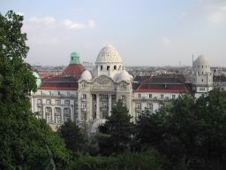 DSCN7246.JPG