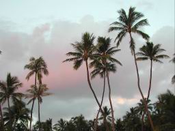 DSCN4124.JPG