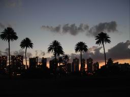 DSCN4177.JPG