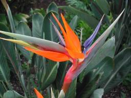 DSCN4185.JPG