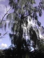 DSCN4315.JPG
